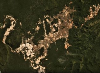 Imagens mostram avanço do garimpo ilegal na Amazônia em 2019