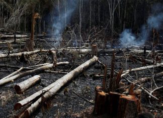 Os incêndios na Amazônia desatam críticas mundiais ao Governo Bolsonaro