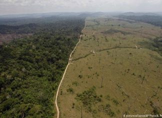 Noruega suspende repasses para o Fundo Amazônia