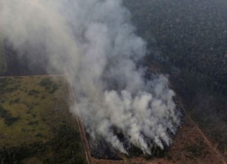 Após Trump, UE também oferece ajuda no combate contra incêndios no Brasil
