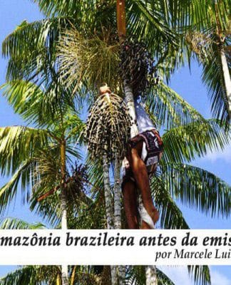 Morte na Amazônia brasileira antes da emissão do CO2