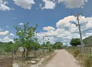 Mais cinco cidades da Bahia têm decretos de emergência reconhecidos por estiagem