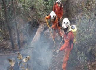 Chapada Diamantina: Fogo é extinto em Bonito e continua em Rio de Contas