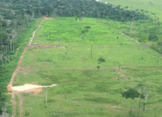 Procuradoria diz que MP de Bolsonaro beneficia grileiros